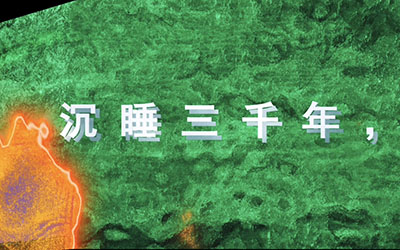 數(shù)字光魔裸眼3D電影藝術(shù)是裸眼3D顯示技術(shù)與電影藝術(shù)創(chuàng)作的創(chuàng)新形式